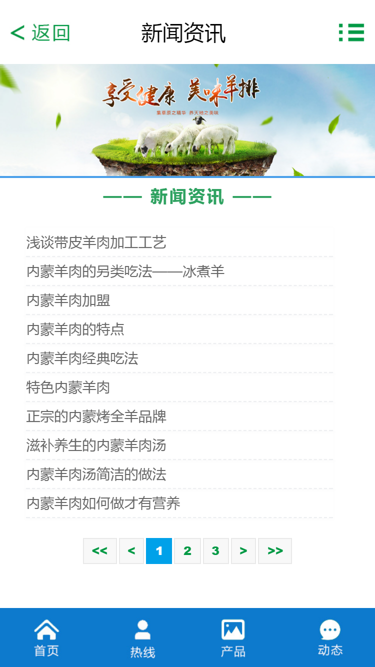 寶豐集團好袁頭有限責(zé)任公司手機站設(shè)計